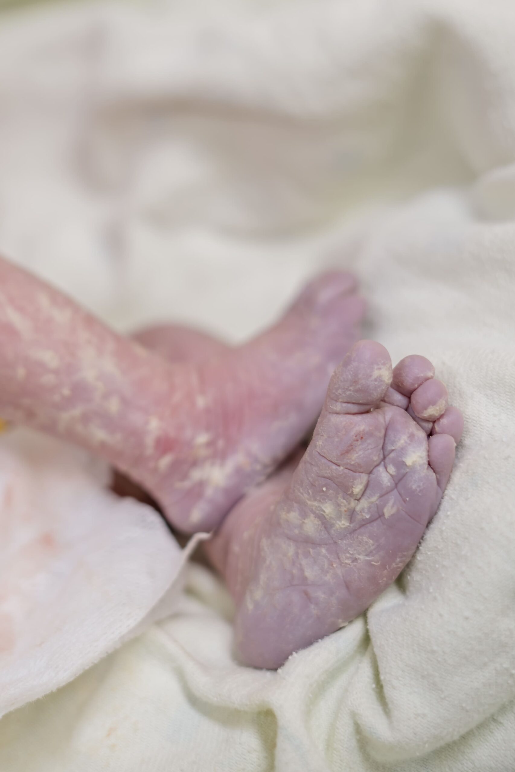 Nascimento Jade (140)